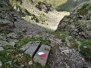 Anello Laghi con Cima di Ponteranica centrale-Lago di Pescegallo da Ca’ San Marco il 15 agosto 2020- FOTOGALLERY